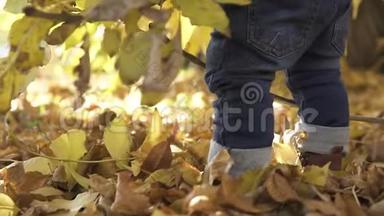 一个一岁的小男孩，穿着棕色靴子，双腿特写，站在一个秋天公园里，树上的落叶上
